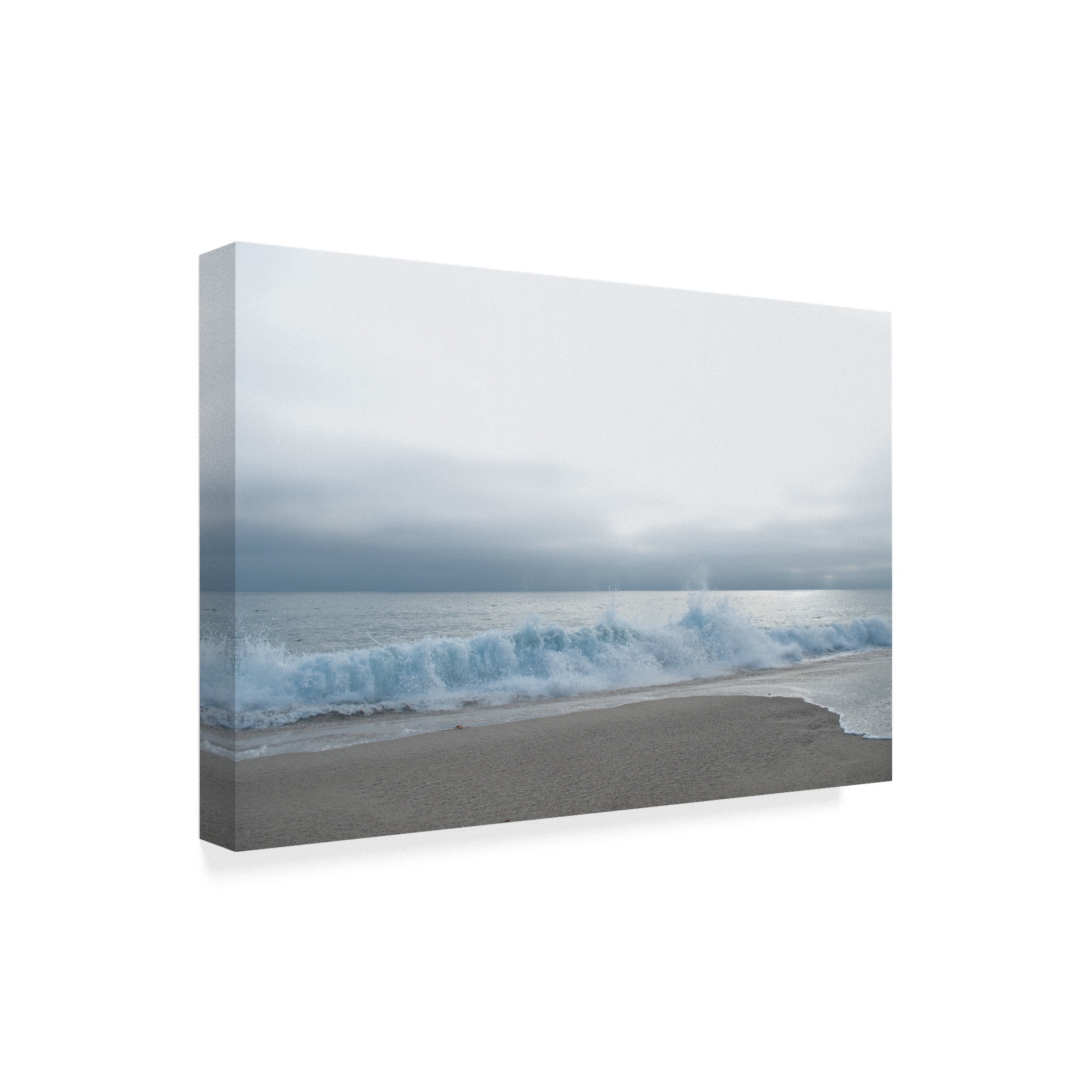 Trademark Fine Art 'Point Zuma Coast' Canvas Art by Lori Hutchison