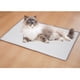 thumbnail image 5 of Esterilla refrescante para mascotas, cojín de seda fría para perros y gatos, manta refrescante lavable, 1 esterilla, diseño sin gel para mayor comodidad en climas cálidos en la cama, el, 5 of 8