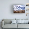 thumbnail image 2 of Oleg Rest 'Guanakos In Patagonia' Canvas Art, 2 of 4