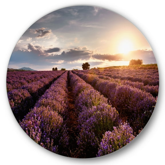 Designart 'Dramatic Clouds and Sunrise Over Lavender Field V' Farmhouse Circle Metal Wall Art 36x36 - Disc of 36