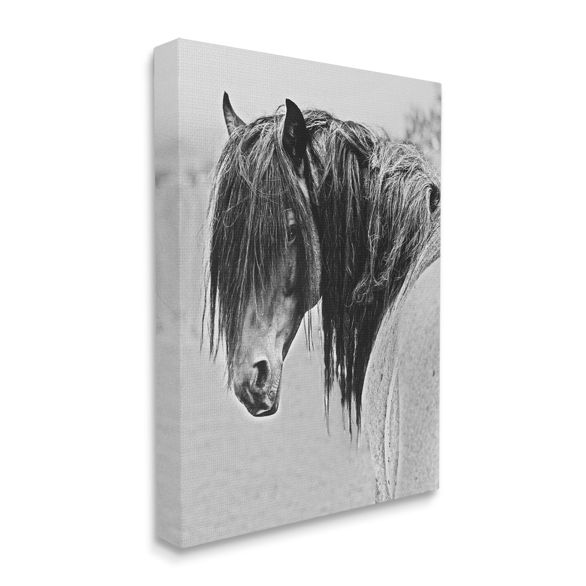 Stupell Industries Black White Monochrome Serene Fjord Horse Portrait Photography Gallery-Wrapped Canvas Print Wall Art, 16x20, by Sally Linden