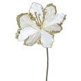 thumbnail image 1 of Cream Amaryllis Flower Stem, 20 & 9 in., 1 of 1