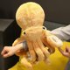 thumbnail image 1 of Mu?eco de peluche para ni?os, bonito juguete Kawaii para ni?a, regalo de cumplea?os y vacaciones ZefeiWu 8390605312427, 1 of 1