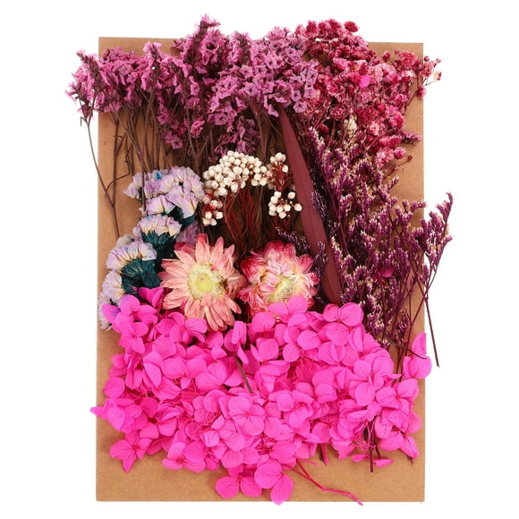 Unique Bargains Natural Dried Flowers Multiple Colorful Real Dried Pressed Flowers Plant Rose Red