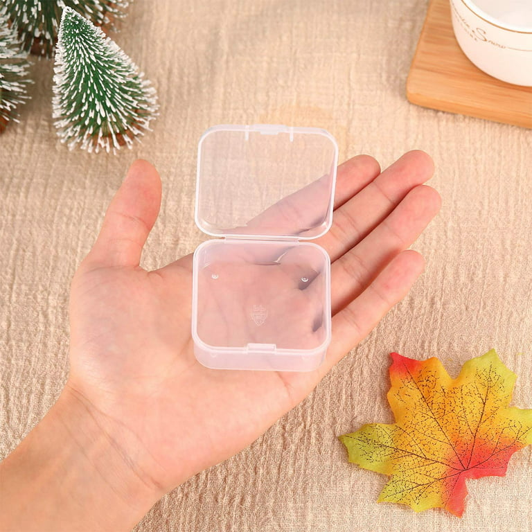 BAGTeck Small Bead Organizers,13 Pieces Clear Plastic Storage Containers Mini Bead Storage Boxes with Hinged Lid and Label Stickers for Storage of