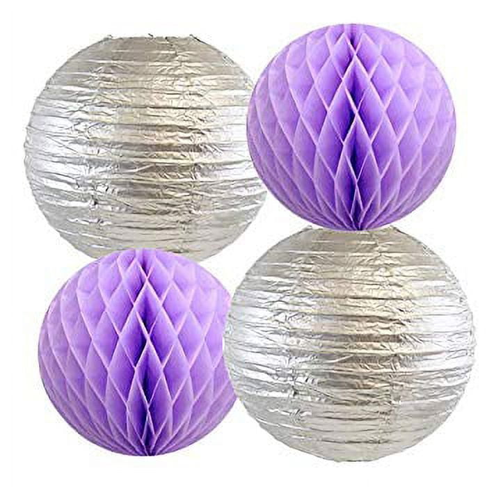 Purple Silver Birthday Party Decorations Happy Birthday Banner Purple  Silver Latex Balloons Polka Dot Paper Fans for Women/Girl Purple Birthday  Decorations Photo Backdrop 