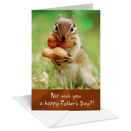 American Greetings Father's Day Card (That's Just Nuts!)