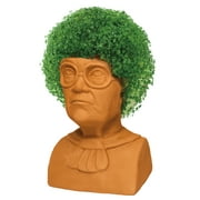 Image result for chia pet