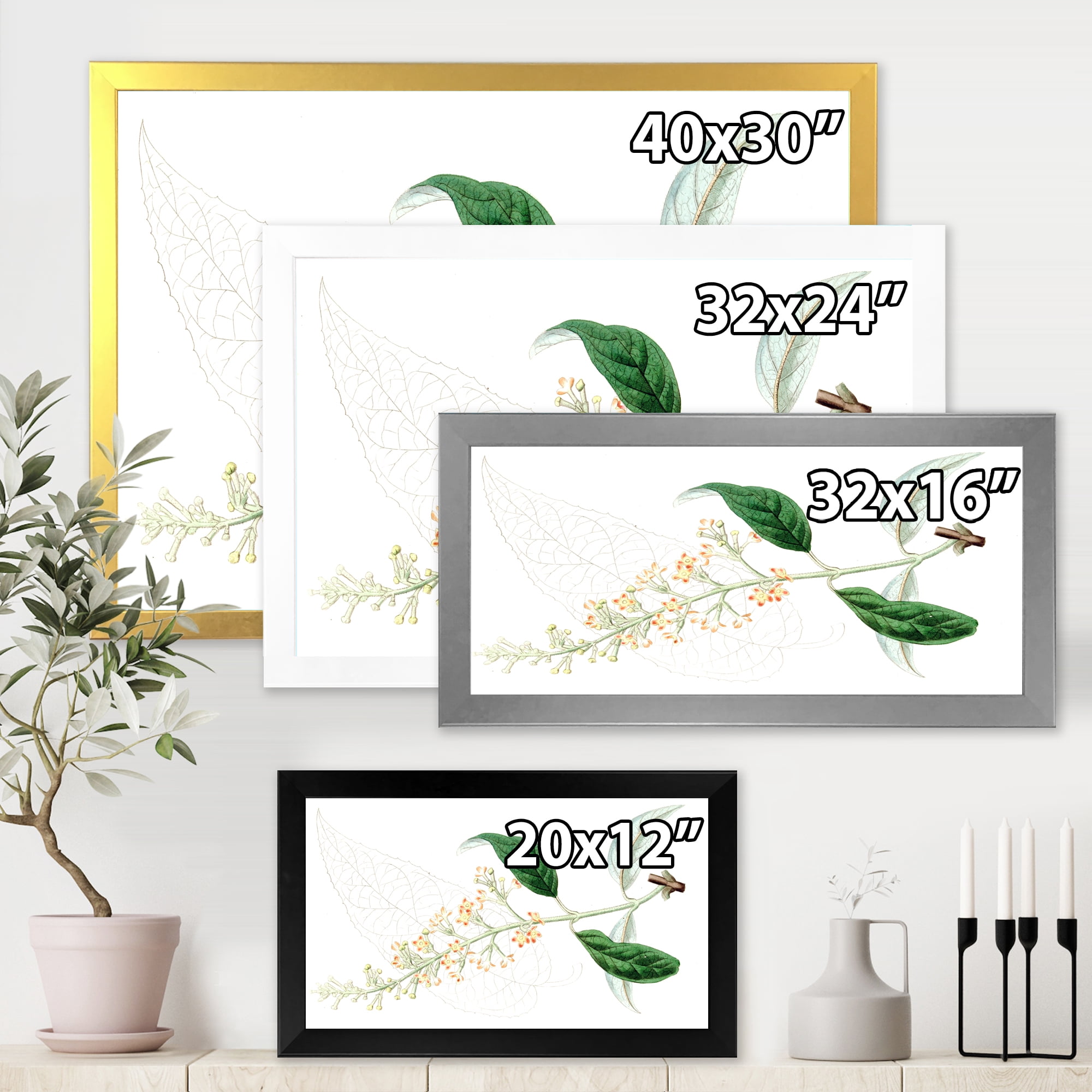 Designart 'Ancient Plant Life XXVII' Traditional Framed Art Print