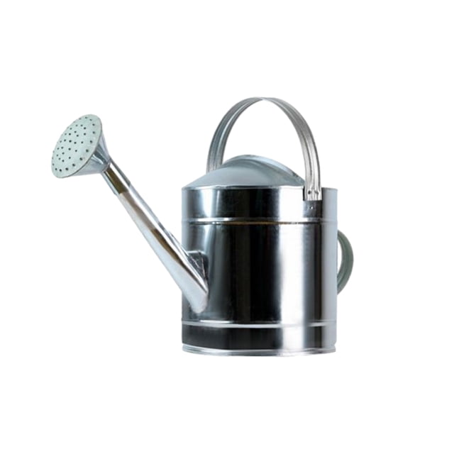 Ounissouiy Stainless Steel Large-Mouthed Metal And Iron Hassle-Free Rust-Free Garden Watering Nozzle Indoor Watering Cans Jardín y Patio acero galvanizado 5L