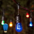 thumbnail image 4 of xianyou-Incandescent S14 Edison Light Bulb, String Light Replacement, E26 Medium Base, 130V, Blue (12 Pack), 4 of 4