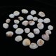 thumbnail image 3 of Beach Conch, para pecera, hogar, decoraciones , pecera y jarrón Gloria Decoración del tanque de peces de acuario, 3 of 9