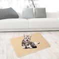thumbnail image 1 of Rascador para gatos, rascador de cartón para gatos pequeños, medianos y grandes, estera para dormir para gatos, alfombra rascadora de Sisal para suelo 30cmx40cm, 1 of 8