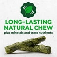 thumbnail image 3 of Greenies Occupy Twists Natural Dog Treats Regular Size, Chicken Flavor, 17.2 oz. Pack, 12 Count, 3 of 8