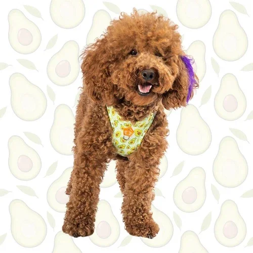 Avocado Print Dog Harness – Reflective, Comfy, Adjustable Pawstar Size Xl