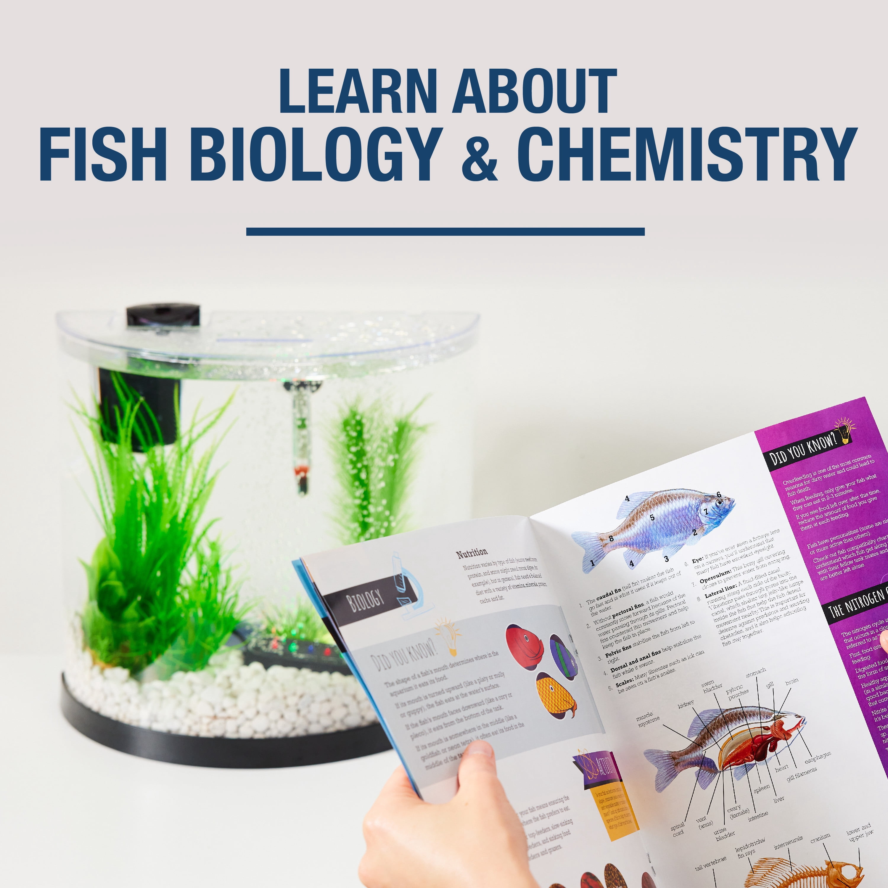 Tetra STEM 3 Gallon Aquarium Kit with Hands-On Activity Guide for Kids