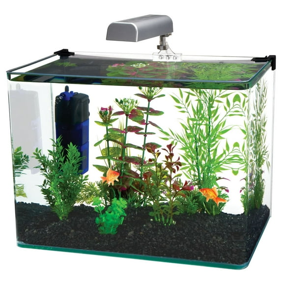 PENN-PLAX Radius Desktop Nano Aquarium Kit – Come with Light, Internal Filter, and Mat –  5 Gallon Tank