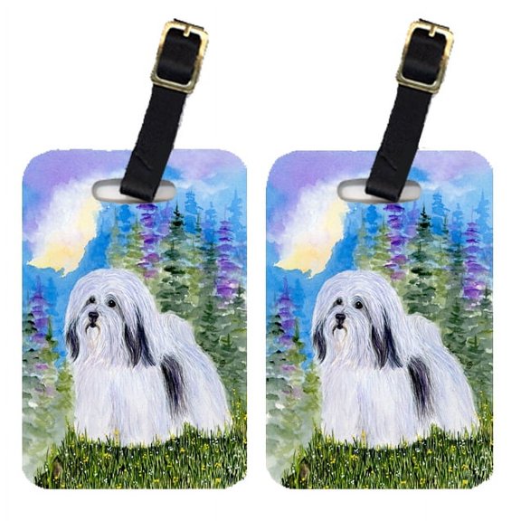 Pair of 2 Havanese Luggage Tags