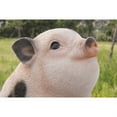 thumbnail image 2 of Hi-Line Gift 87685-A Chubby Piglet Sitting-Pink with Black Spots, 2 of 6