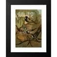 thumbnail image 2 of John George Wood 13x18 Black Modern Framed Museum Art Print Titled - Titmice (1898), 2 of 5