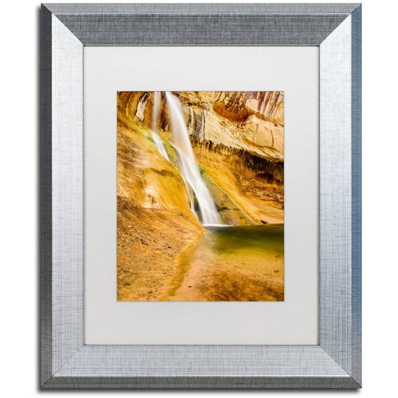 Trademark Fine Art "Desert Oasis" Canvas Art by Michael Blanchette Photography White Matte, Silver Frame