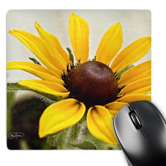 3dRose, Black Eyed Susan Fine Art Image, MousePad