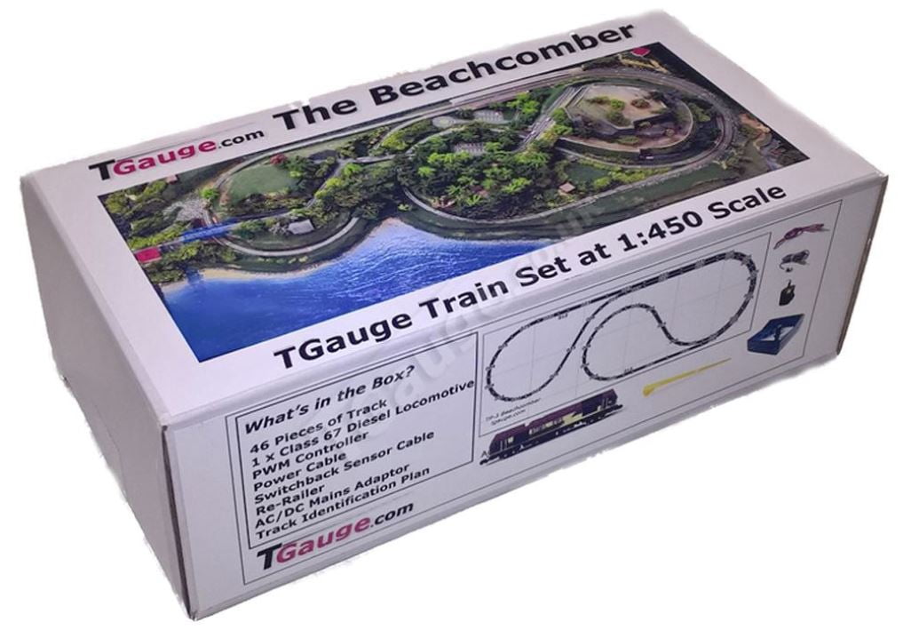 t scale train set