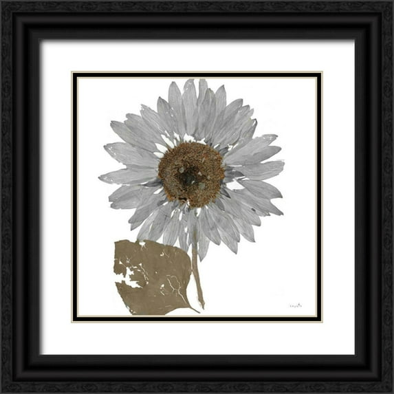 Sophie 6 26x26 Black Ornate Wood Framed with Double Matting Museum Art Print Titled - Herbarium I