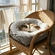 thumbnail image 5 of Cama y tapete para mascotas de doble uso | Cojín suave, antideslizante y lavable para gatos y perros pequeños | Uso en interiores y exteriores | 61 x 50 cm | Tejido de poliéster térmico, 5 of 6