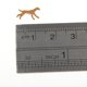 thumbnail image 5 of 9 Piezas 1:64 Escala Modelo Pintado a Mano Pequeño Perro Animal Modelo Adornos Sunnimix Muñeca de personas de modelos en miniatura, 5 of 8