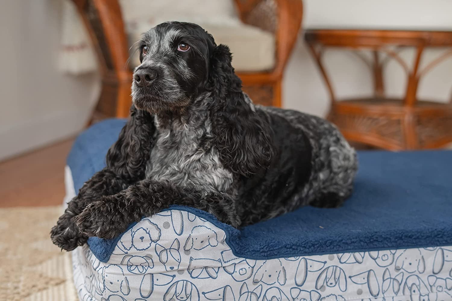 Harry Barker Premium Waterproof Orthopedic Pet Bed, 11 Inches Thick, Blue, Large