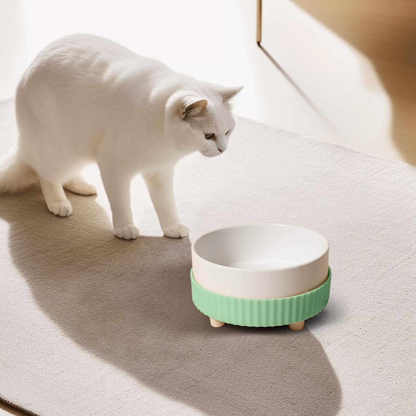 Ceramic Bowl With Constant Temperature Heating Drinking Bowl For Cats In Winter Food Bowl To The Cervical Spine Feeding Bowl