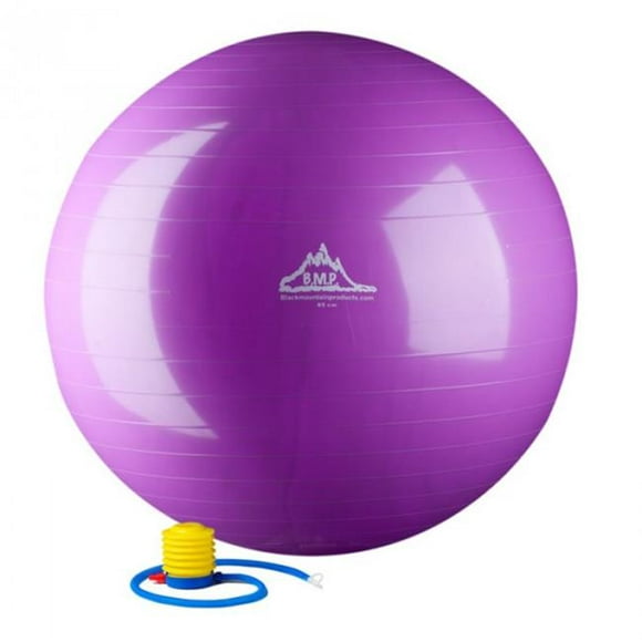 Black Mountain Products 65cm Purple Gym Ball 65 cm. Static Strength Exercise Stability Ball&#44; Purple