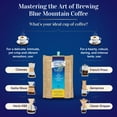 thumbnail image 6 of Plantation Blue 100% Blue Mountain Coffee Medium Roast Whole Beans from Jamaica (8oz), 6 of 6