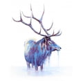thumbnail image 2 of Wickstrom, Martin 15x18 Black Ornate Wood Framed with Double Matting Museum Art Print Titled - Elk in Water, 2 of 4