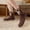 Coffee, variant on Stocking Animal Design Floor Socks for Home Comfort Indoor Slipper Socks with Non- Grips and Creature Graphics Ideal for Everyday Leisure