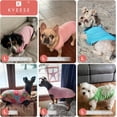 thumbnail image 4 of KYEESE 2 Pack Dog Shirts, Mesh Hawaiian T-Shirt for Small Medium and Large Dogs, Flamingo+Blue, L, 4 of 10