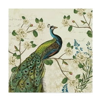 Trademark Fine Art 'Peacock Arbor I Ivory Sq' Canvas Art by Sue Schlabach