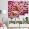 thumbnail image 5 of Design Art - Pétales de Fleurs de Rose Blanches Lisses, 5 of 5