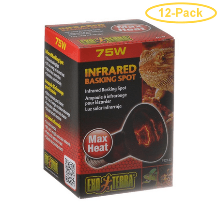 Exo-Terra Heat Glo Infrared Heat Lamp 75 Watts - Pack of 12
