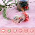 thumbnail image 2 of Yazoeia Silicone Pig Silicone Piglet with Nursing Bottle and Clothing Accessories 5 Inch Lifelike Animal Pig Doll Cute Realistic Miniature Reborn Interesting Full Silicone Body Pig Toys, 2 of 9