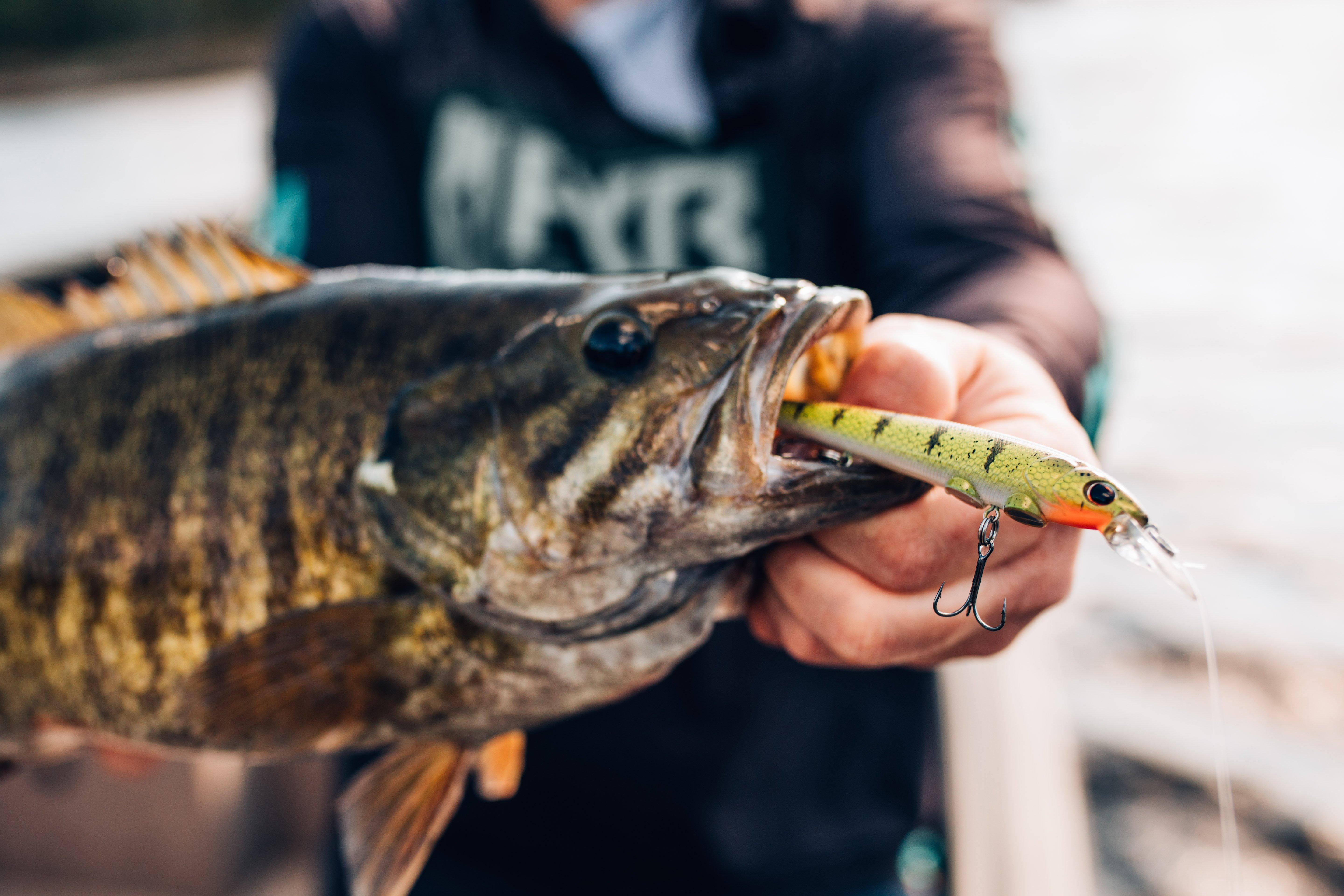 Berkley Hit Stick Fishing Lure, Black Silver, 1/4 oz
