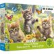 thumbnail image 3 of Rompecabezas Ceaco Gatitos en el Prado de 1000 Piezas, 3 of 9