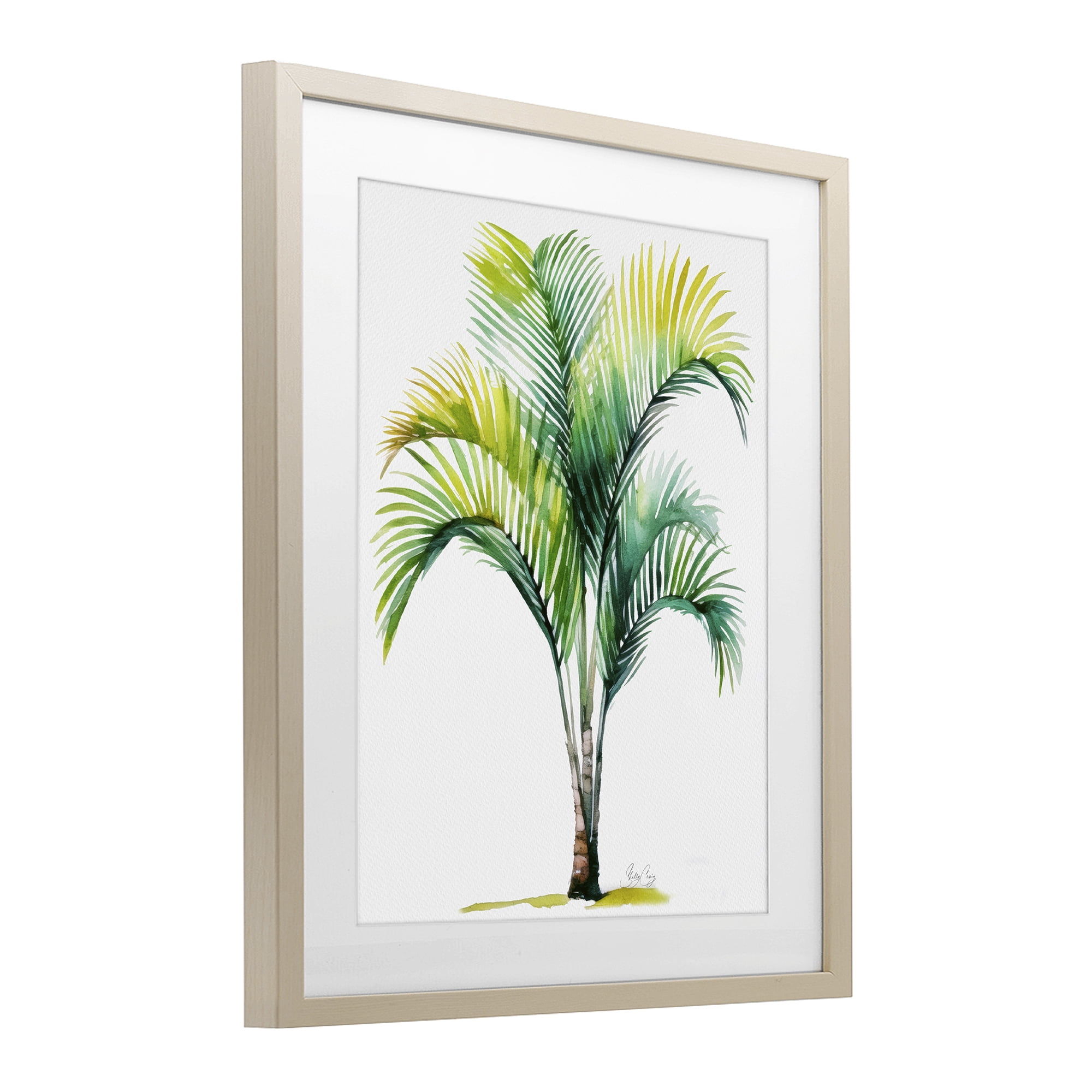 Stupell Industries Coastal Canopy Palm Tree Birch Framed Print Under Glass, design by Shelly Craig