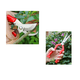 thumbnail image 4 of Kit De Tijeras Podadoras Manual De Cortador De Jardín 2 Piezas Plata con Rojo, 4 of 5