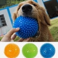 thumbnail image 2 of Typpkmm Pet Dog Toys with Puppy Sounding Toy Polka Squeaky, 2 of 7