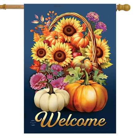 Briarwood Lane Fall Basket House Flag