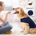 thumbnail image 2 of Dog Anxiety Vest, Stress Relief Calming Coat For Small, Medium And Large Dogs, Dog Calming Solution Jacket For Fireworks,travel And Separation, 2 of 3