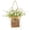 White, variant on Kingtowag Wildflower Door Hanger Basket Wreath, Spring Summer Front Door Decor, Yellow Home Decoration