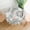Chritmas-1, variant on Merry Christmas Tablecloth Round Table Cover Washable Polyester Table Cloth for Kitchen Party Picnic Dining Decor 60 Inch
